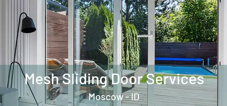  Mesh Sliding Door Services Moscow - ID
