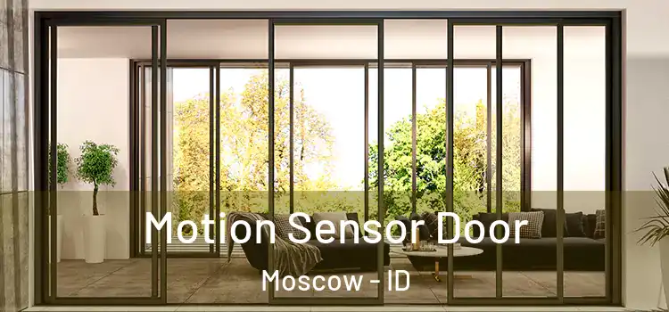 Motion Sensor Door Moscow - ID